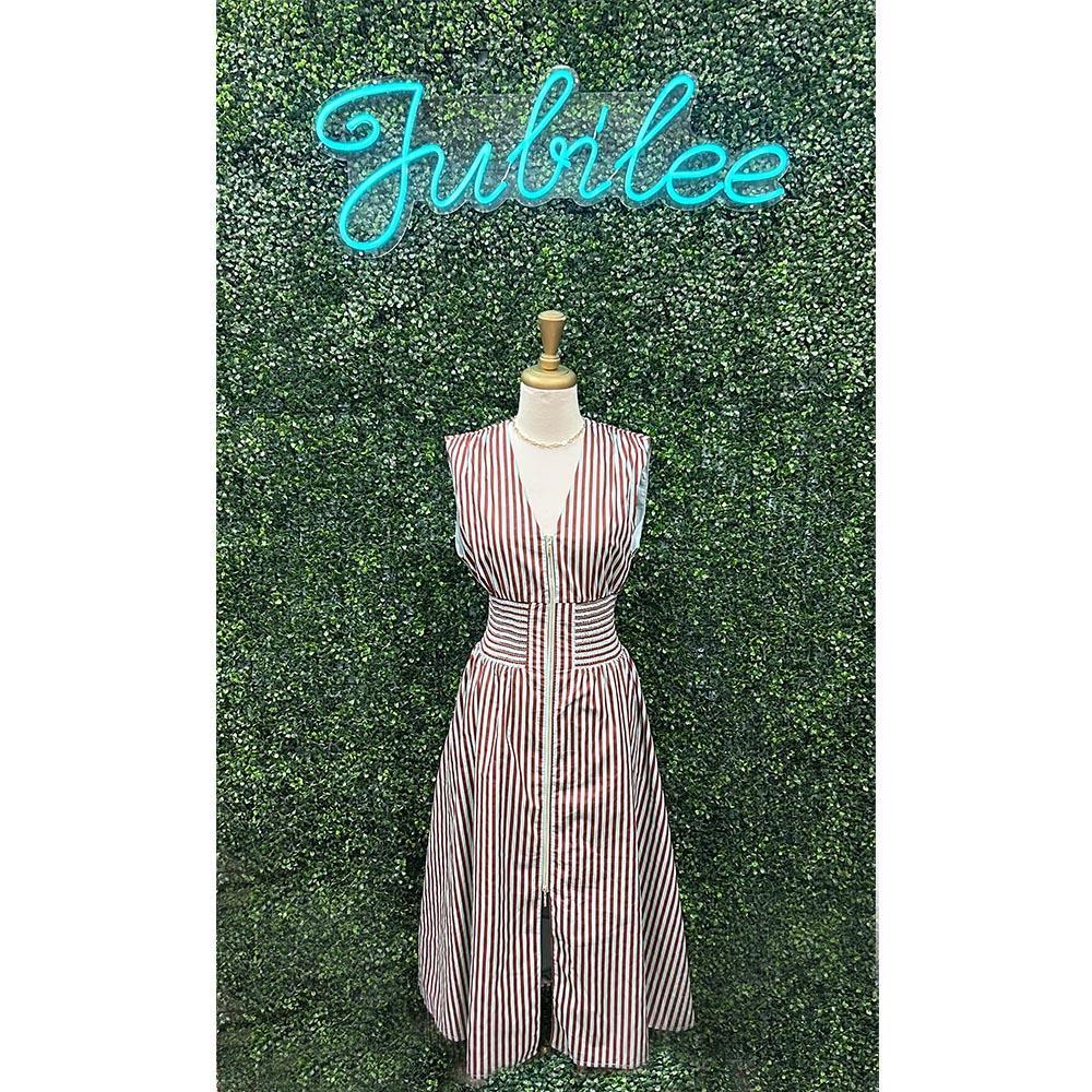 Tammy Brown/Blue Vertical Stripe Zip Dress