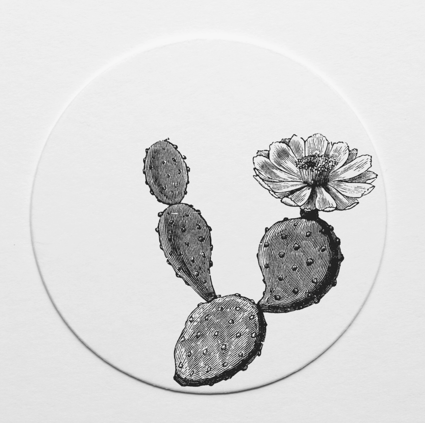 Prickly Pear Cactus Coaster Set