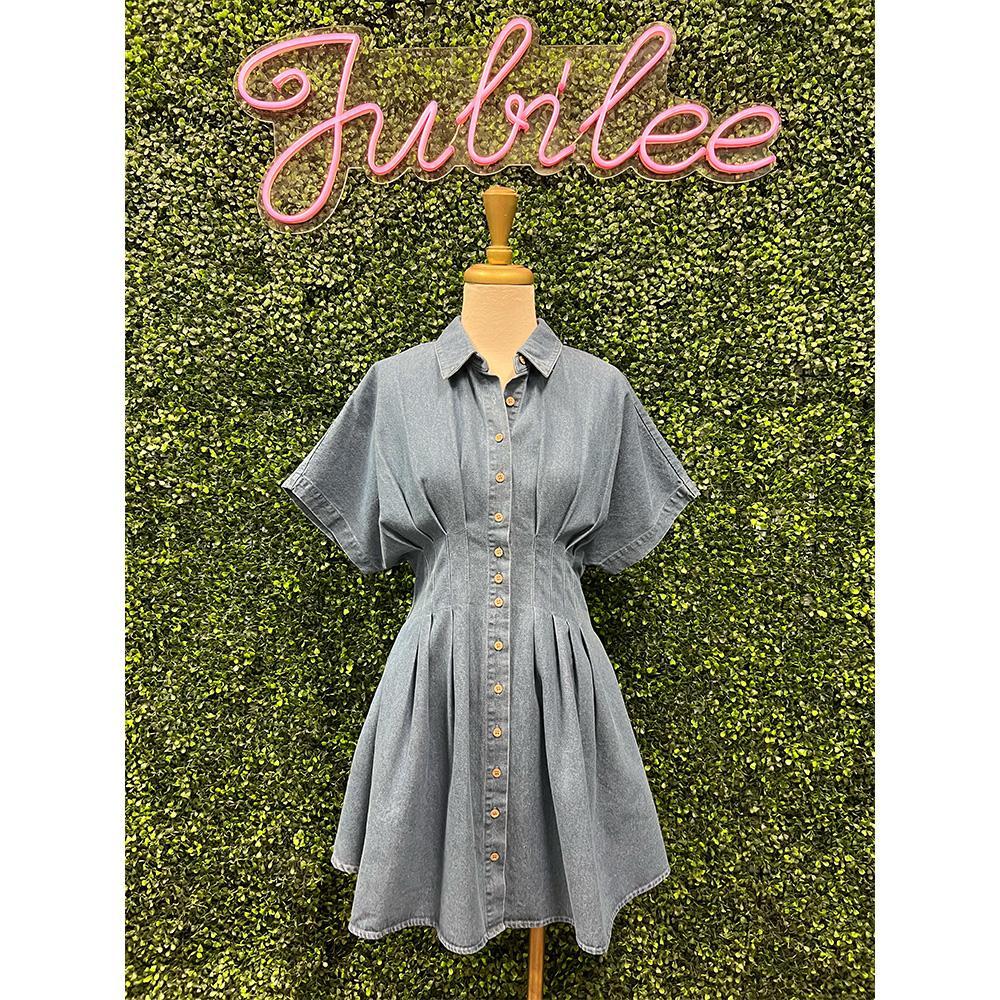 Kimmy Pleated Button Down Denim Mini Dress