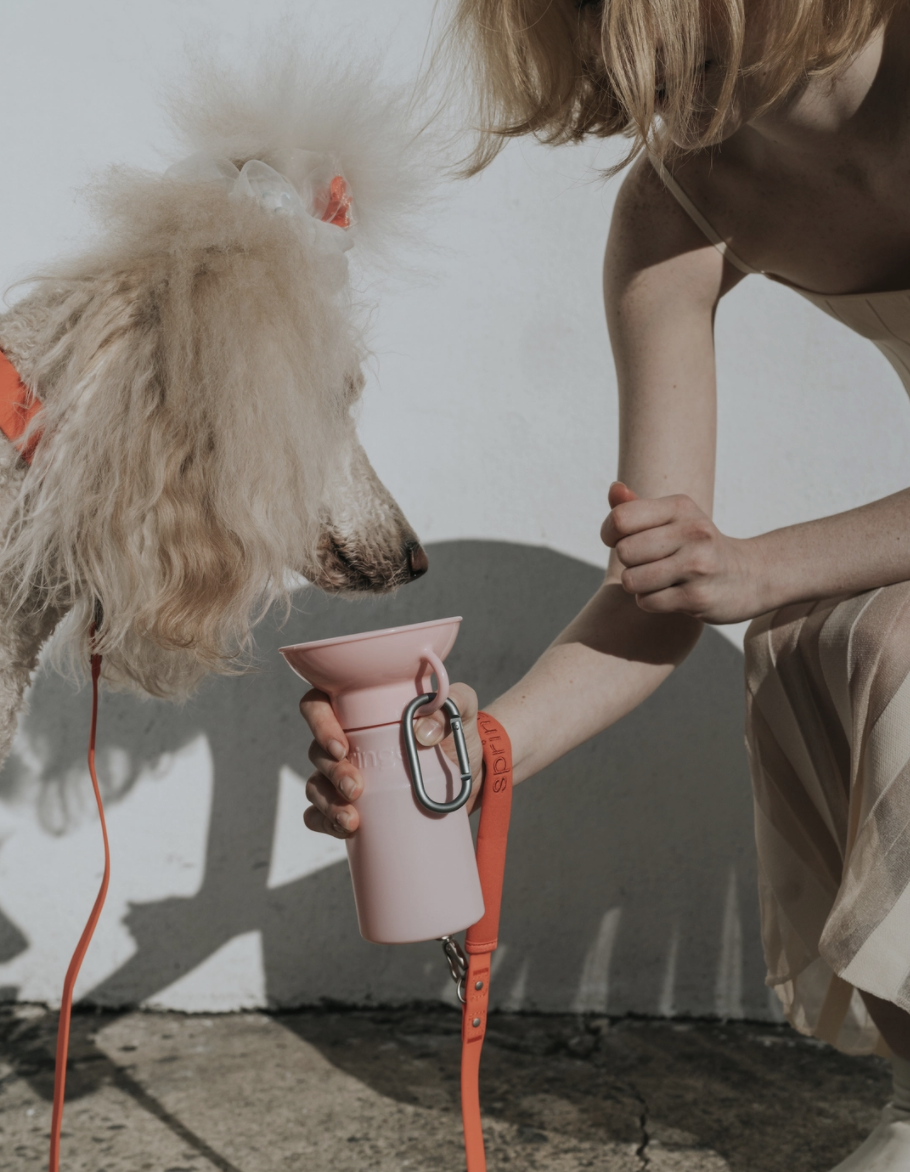 Cotton Candy Pink Travel Mini Dog Water Bottle