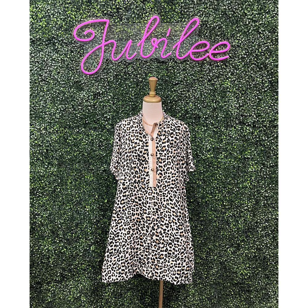 Tillah Leopard Print Mini Dress