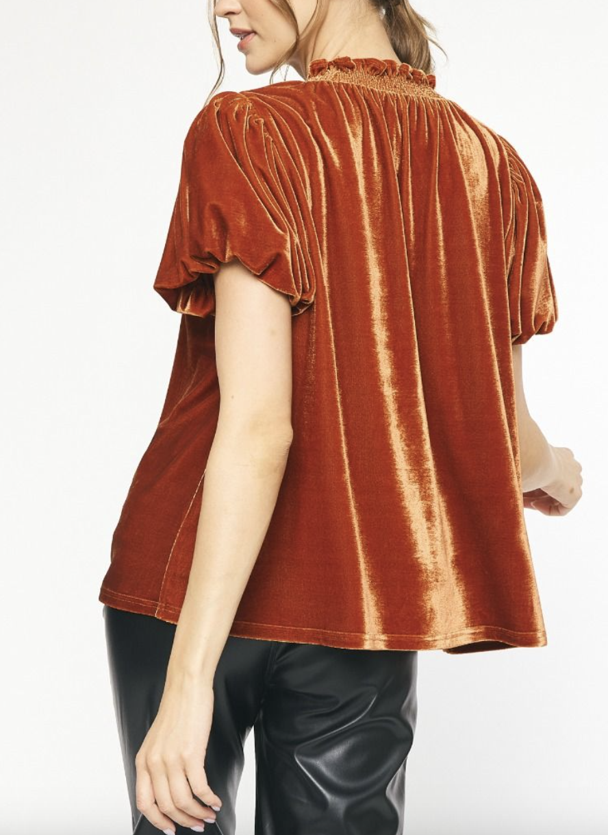 Bronze Velvet V-Neck Top