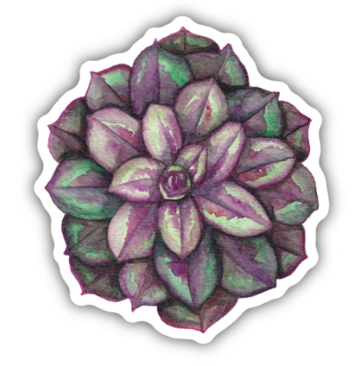 Succulent Sticker