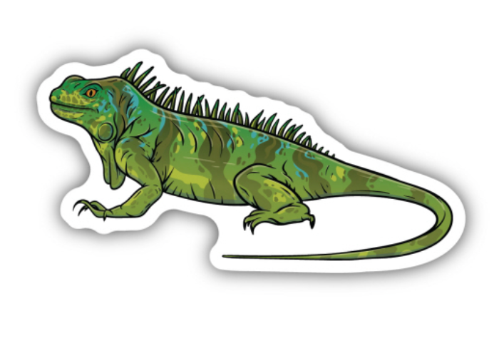 Iguana Sticker