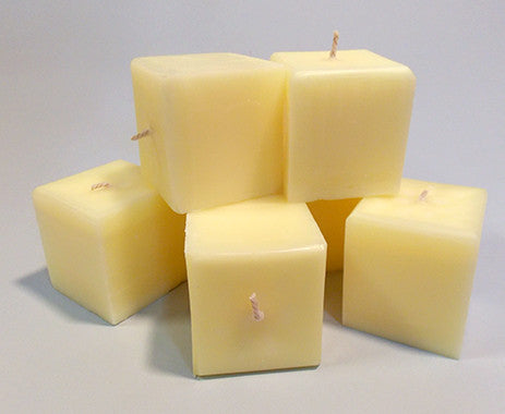 Square Candles - Plains Coreopsis