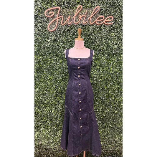 Baerla Denim Midi Dress