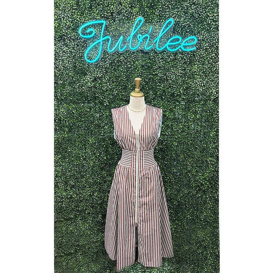 Tammy Brown/Blue Vertical Stripe Zip Dress