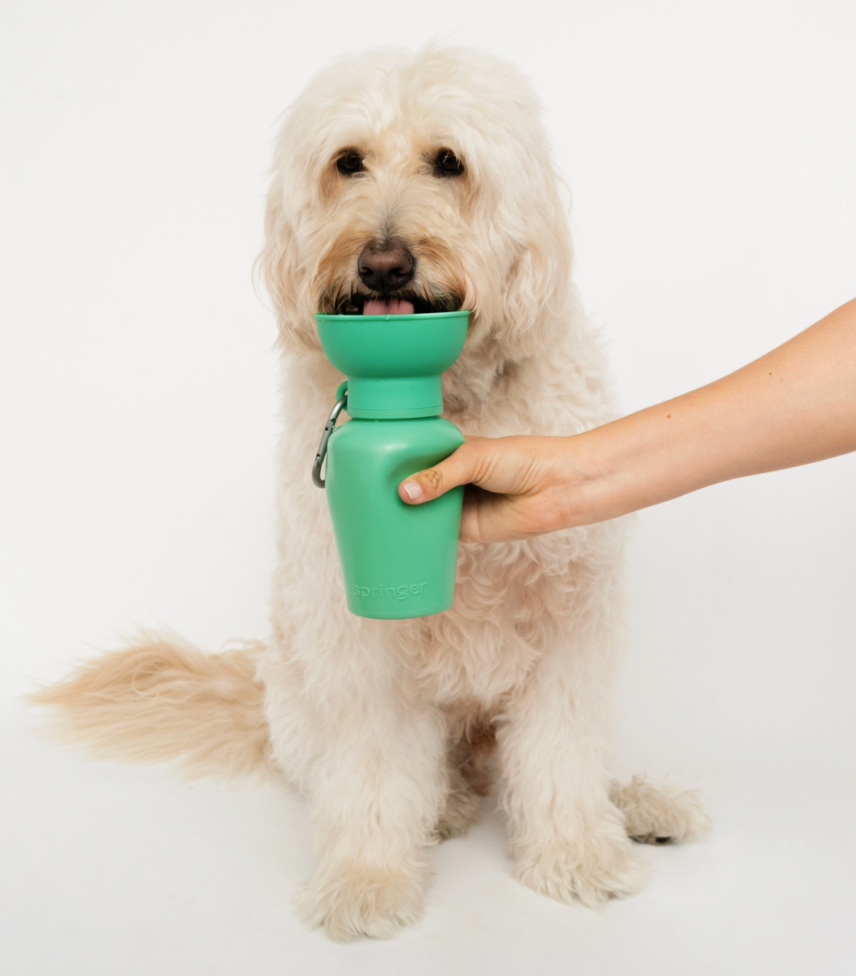 Flip Top Dog Water Bottle Travel Walk