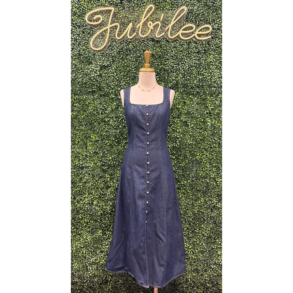 Erena Dark Denim Dress