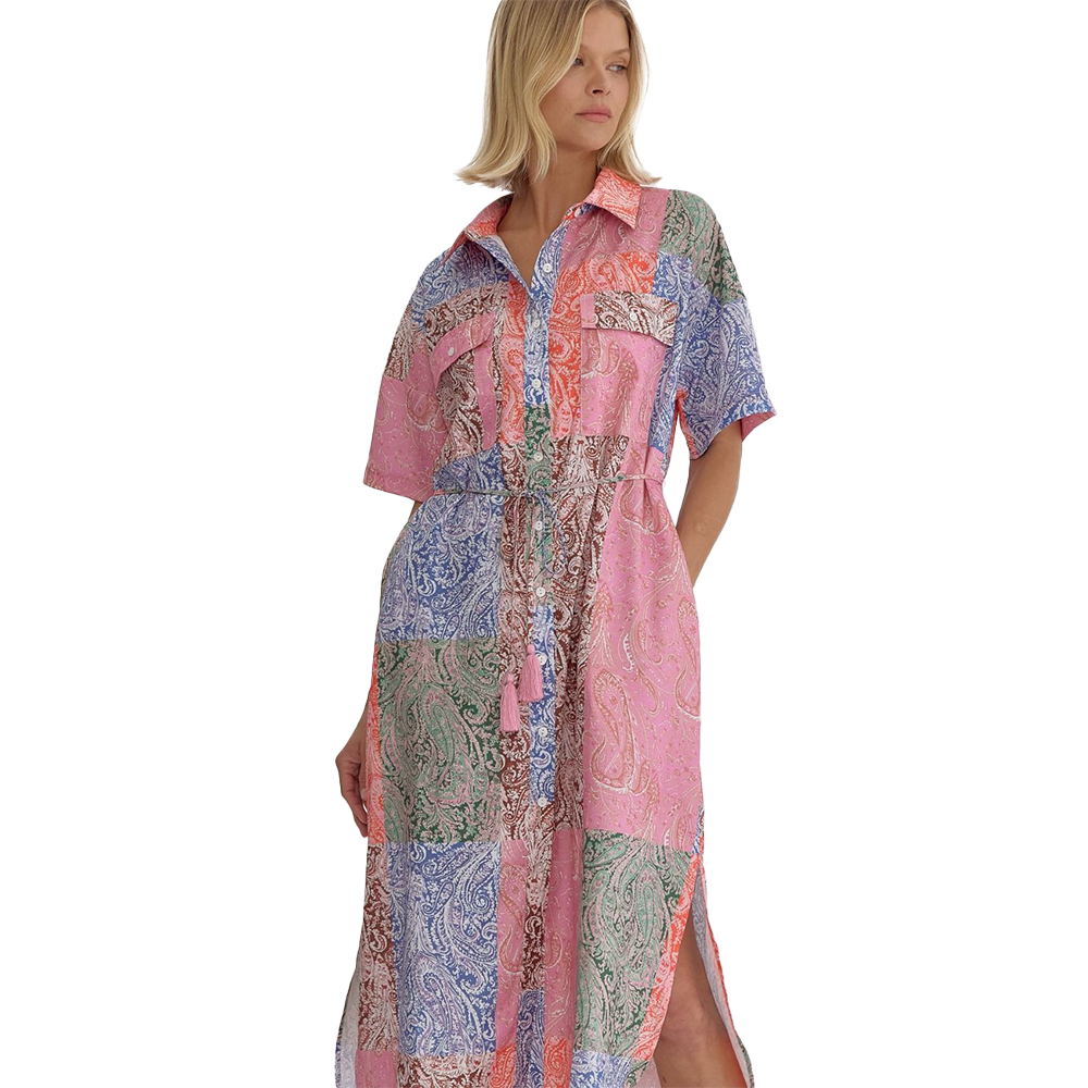 Dani Colorblock Paisley Print Midi Dress