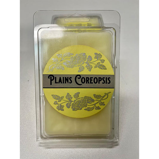 Square Candles Tarts - Plains Coreposis