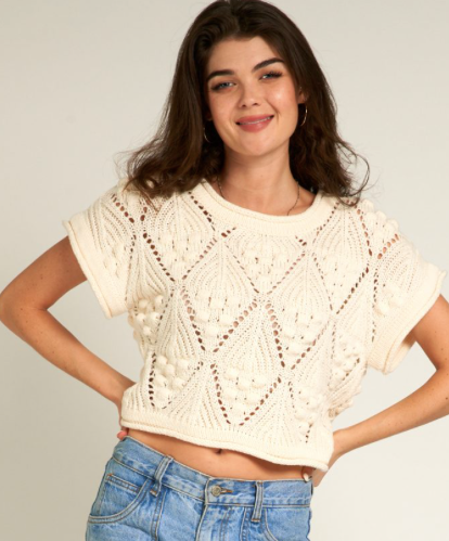 Chloe Cropped Sweater Top In Ivory