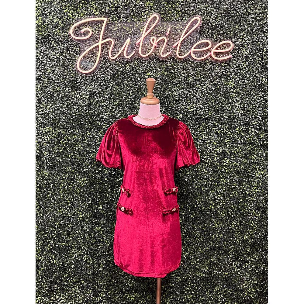 Garnet Velvet Mini Dress