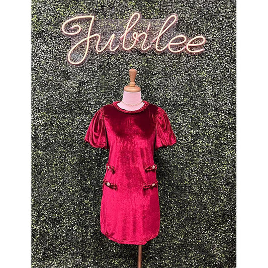 Garnet Velvet Mini Dress