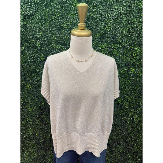 Tana Sparkle Taupe Knit Top