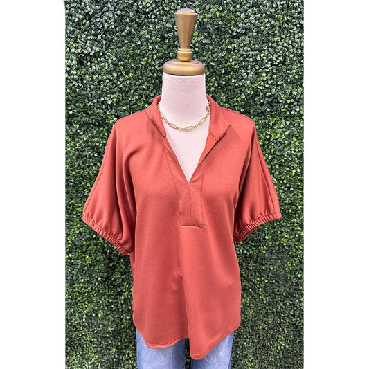 Lianna Clay V-Neck Top