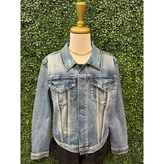 Pizi Embroidered Denim Jacket
