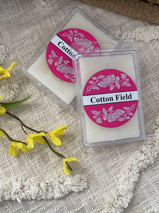 Square Candles Tarts - Cottonfield